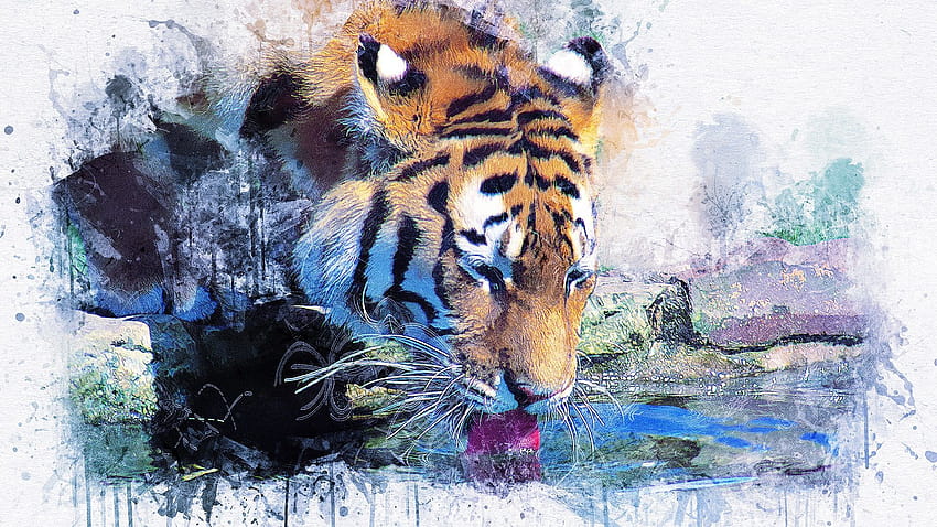 Tiger Drinking Water, watercolour animal HD wallpaper