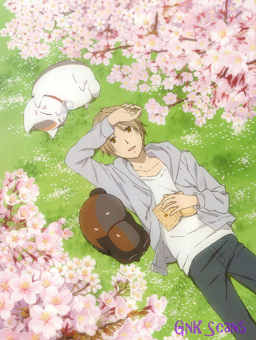 : illustration, anime, spring, romance, Natsume, natsume yuujinchou HD phone wallpaper