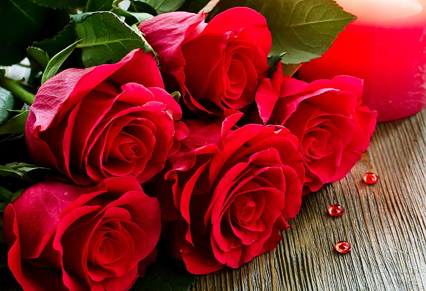Rose Day DP dla Whatsapp dla par Best Friends Czerwone, białe, żółte róże Pics, red dp Tapeta HD