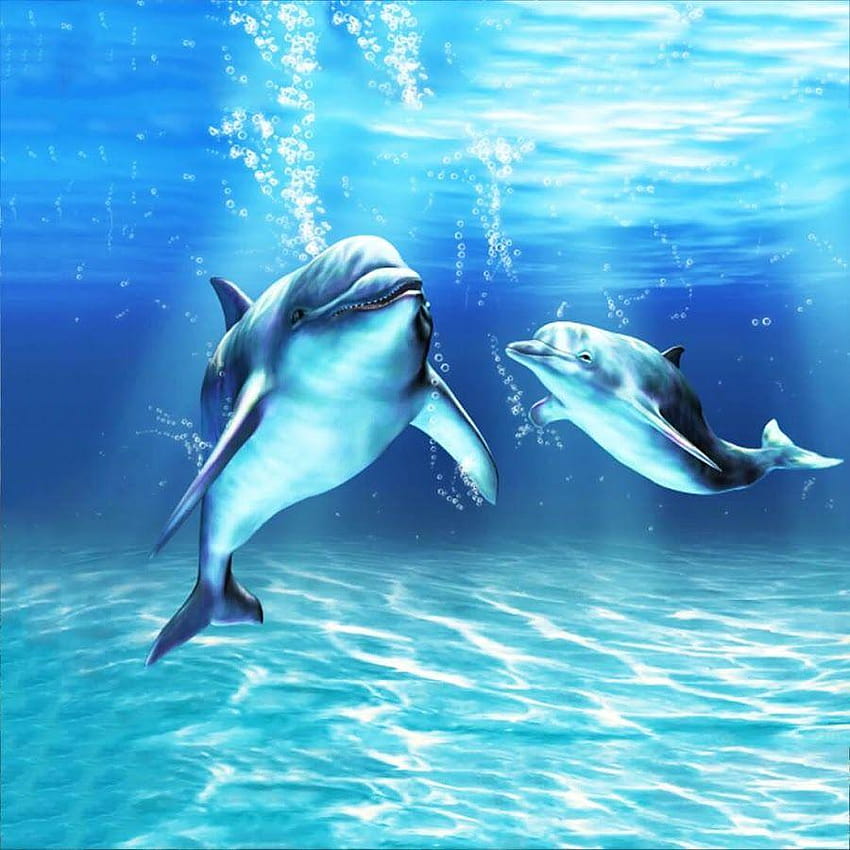 Dolphin Tale HD phone wallpaper | Pxfuel