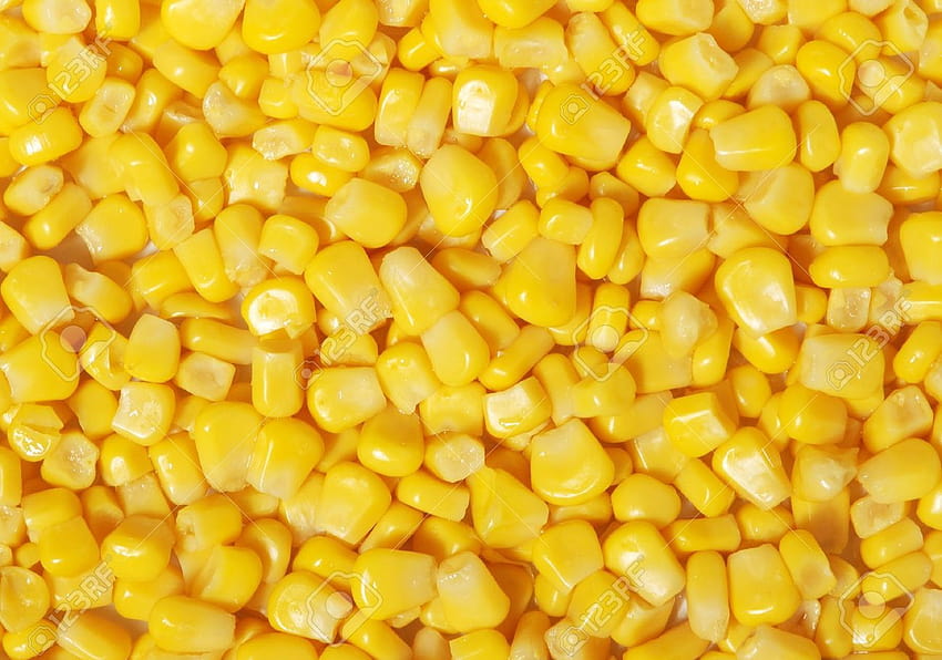 2016 Corn Q , HQ Definition Backgrounds, maize HD wallpaper