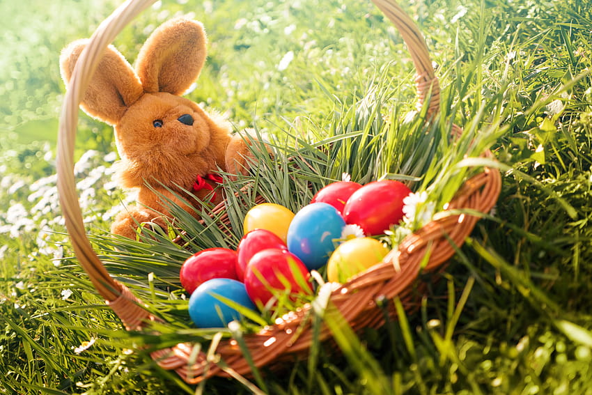 Easter rabbit egg Wicker basket Grass Holidays 5184x3456 HD wallpaper