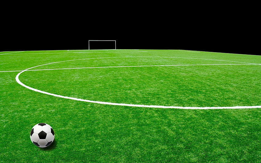 Soccer Field Group, football pitch HD wallpaper | Pxfuel