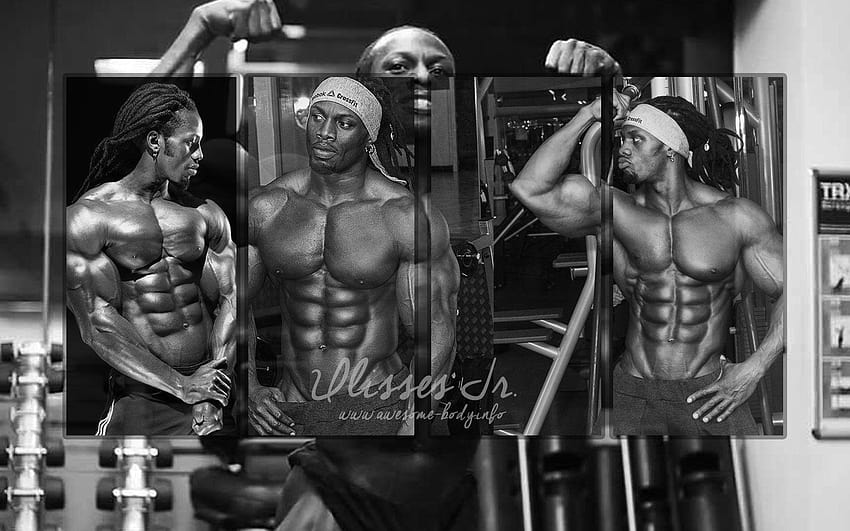Bodybuilding Posters, sergio oliva HD wallpaper