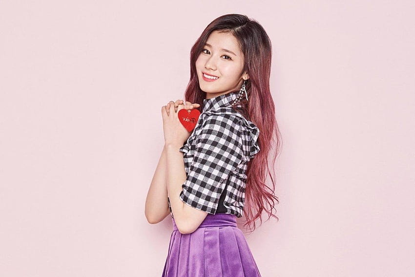 Meet Sana from Twice – K, twice pink aesthetic HD wallpaper