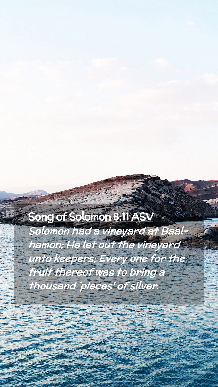 Song of Solomon 8:11 ASV Mobile Phone, hamon HD phone wallpaper
