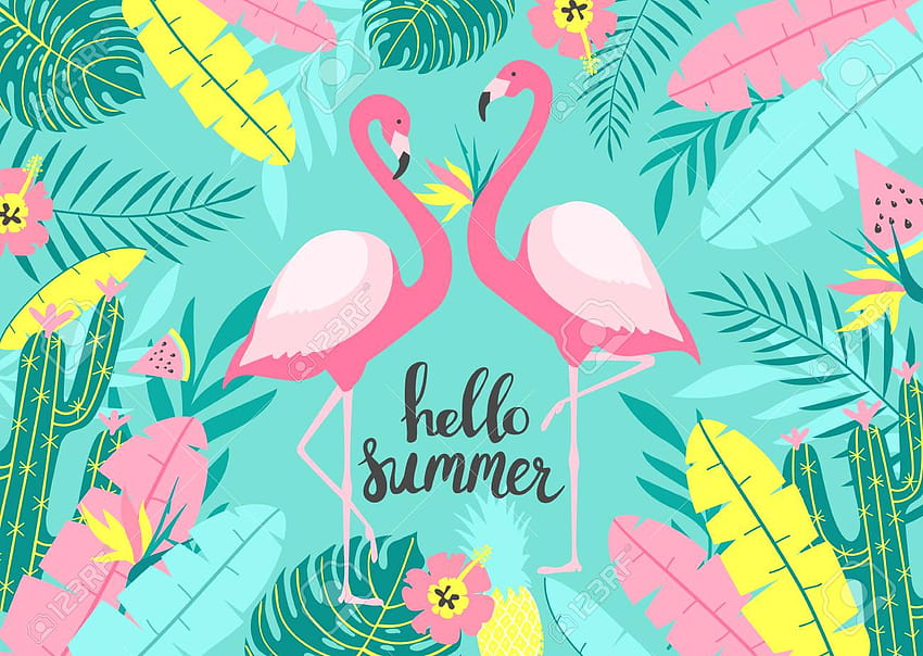 Summer Flamingo โพสต์โดย Ethan Mercado สวัสดีฤดูร้อนที่น่ารัก วอลล์เปเปอร์ HD
