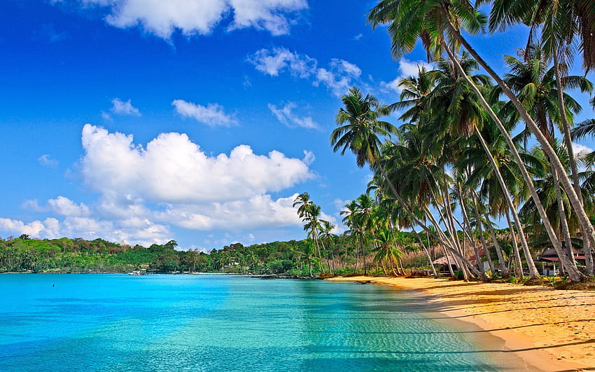 tropical beach panorama HD wallpaper