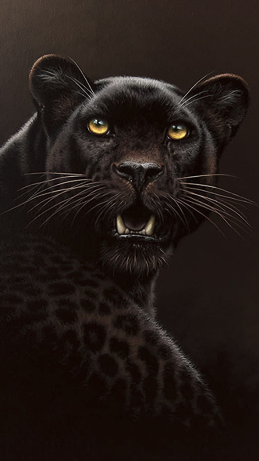 6 Black Cheetah, cheetah phone HD phone wallpaper