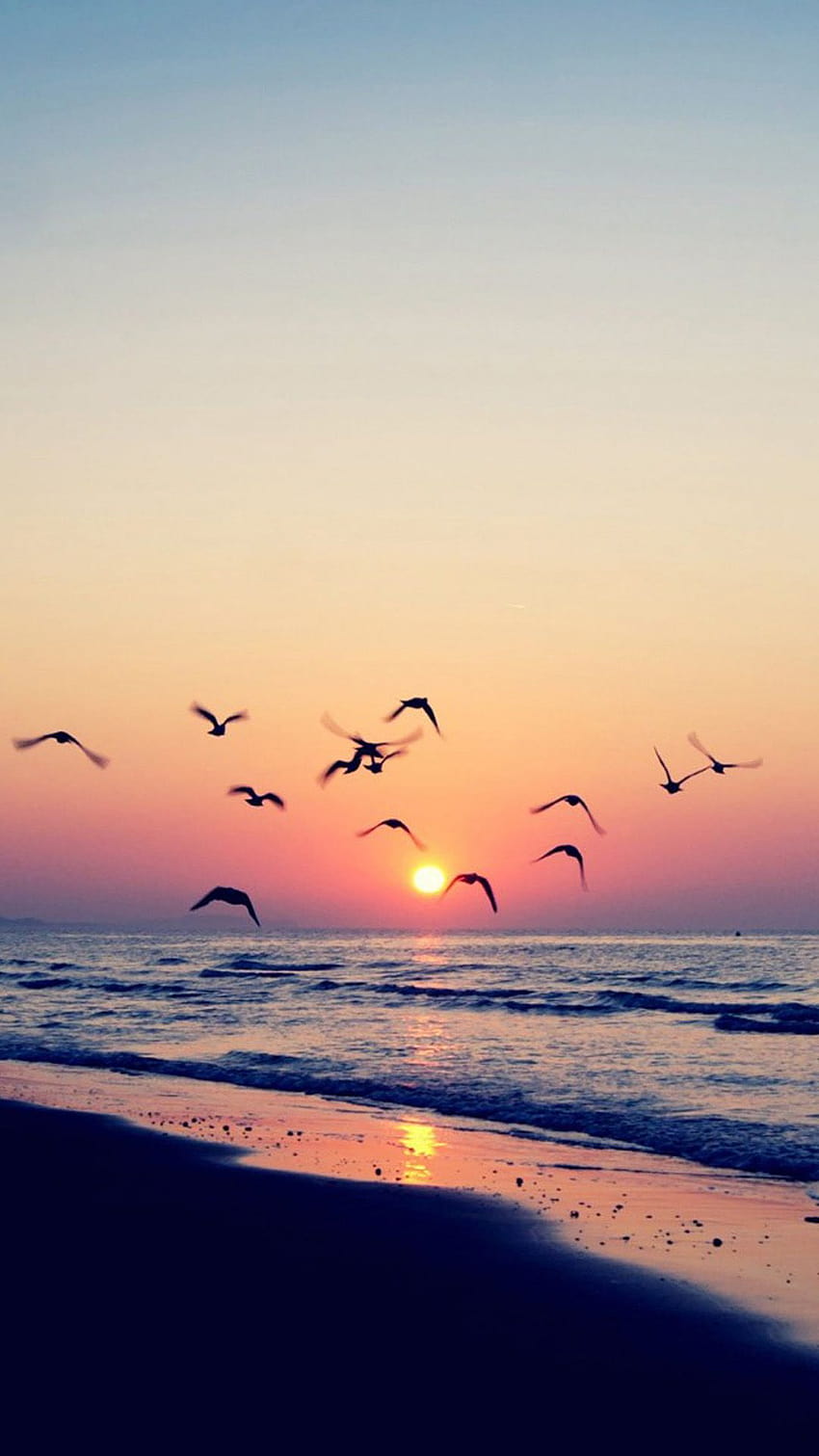 Twilight Coast Beach Ocean Wave Seagull ...pinterest, sunset pantai laut wallpaper ponsel HD