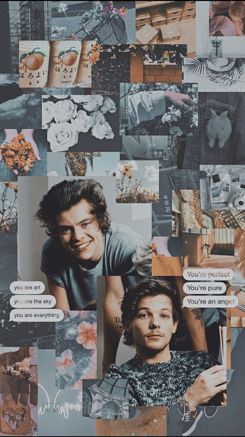 Harry styles , Larry stylinson ...pinterest, harry styles and louis ...