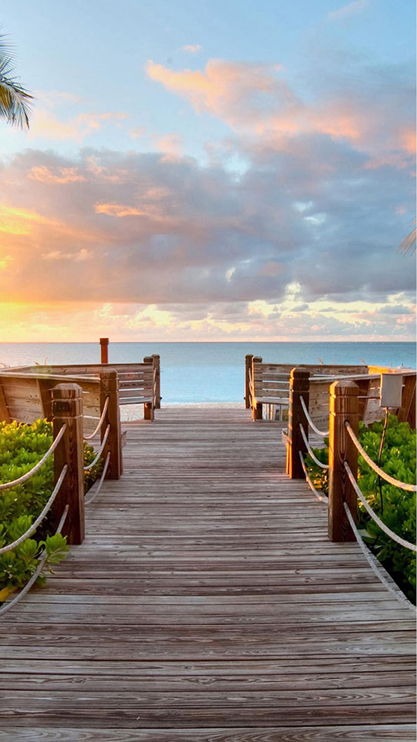 Natur Sunny Bright Skyscape Holzbrücke iPhone 8, Holzsteg HD-Handy-Hintergrundbild
