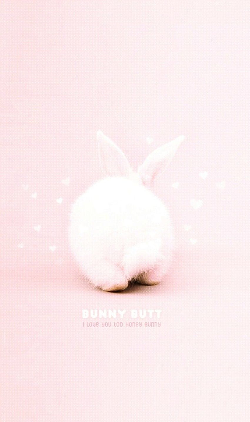 Bunny Rabbit adorable baby animal aesthetic magic iphone beautiful  wildlife animals HD phone wallpaper  Peakpx