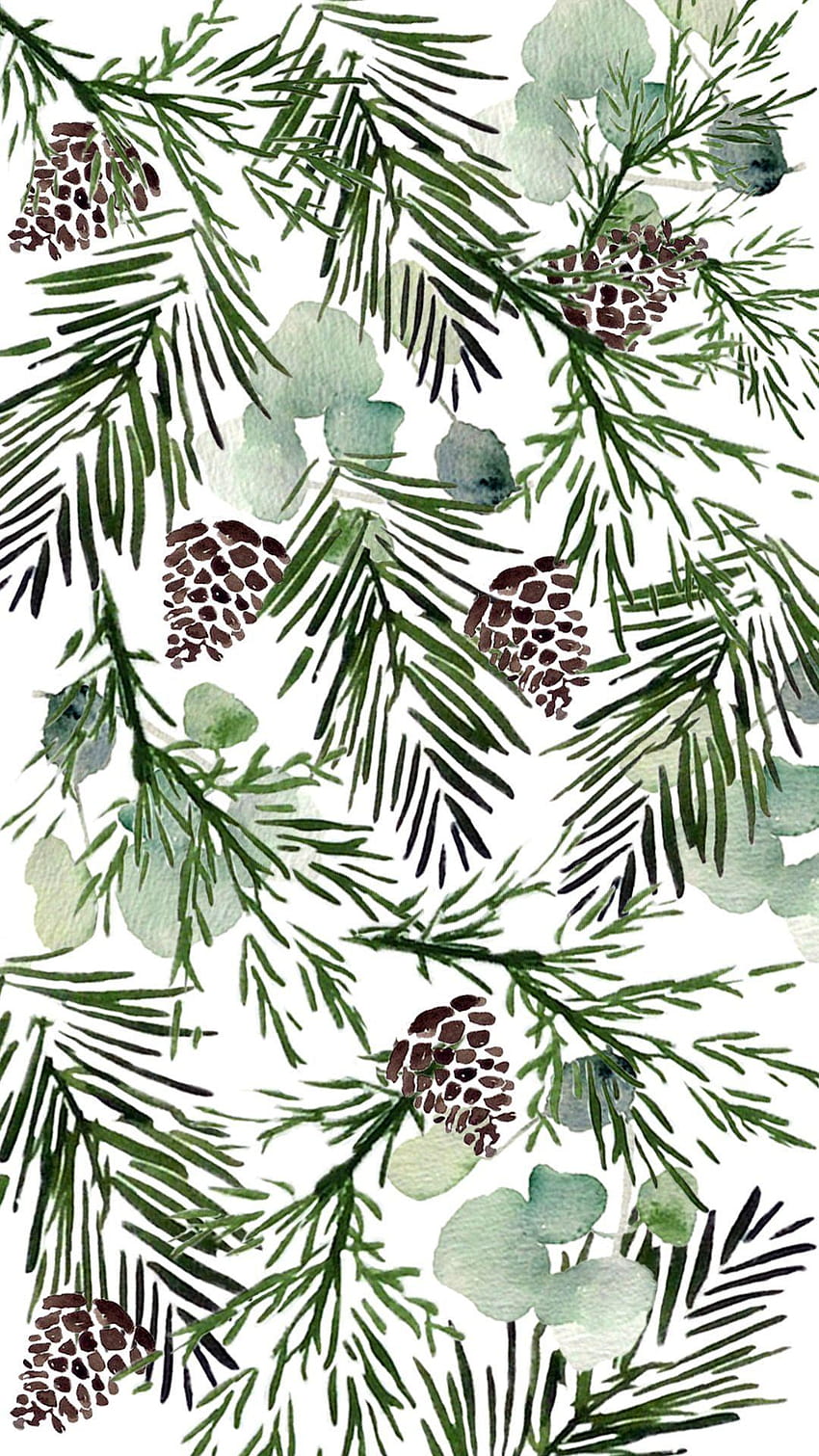 3 水彩の松の木、クリスマスの松の木 HD電話の壁紙