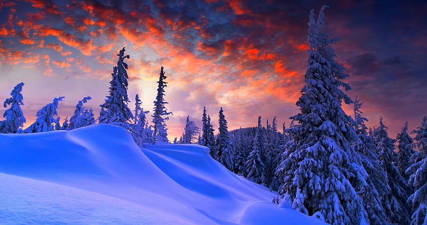 Beau coucher de soleil rose dans la forêt enneigée d'hiver 4096x2160, hiver rose Fond d'écran HD