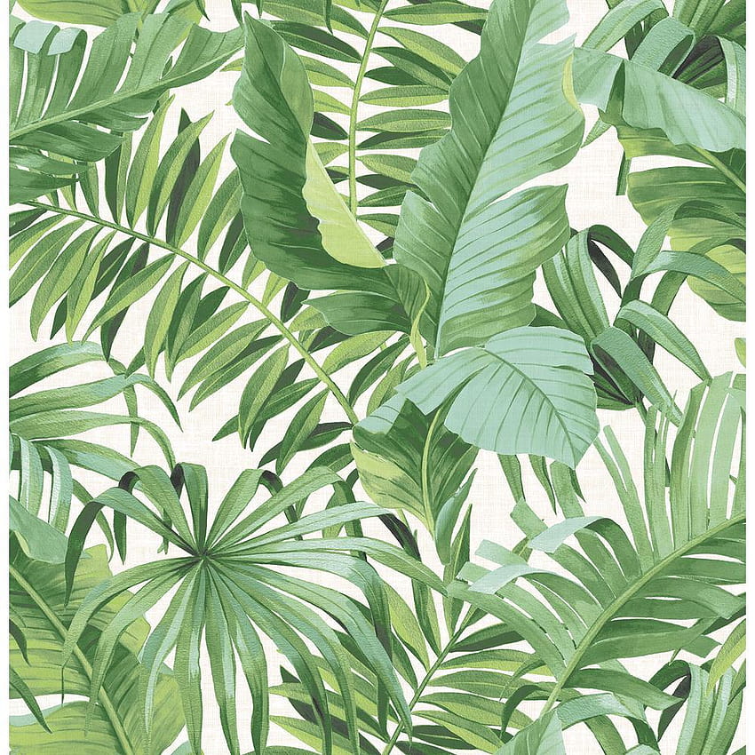 green tropical leaves HD phone wallpaper
