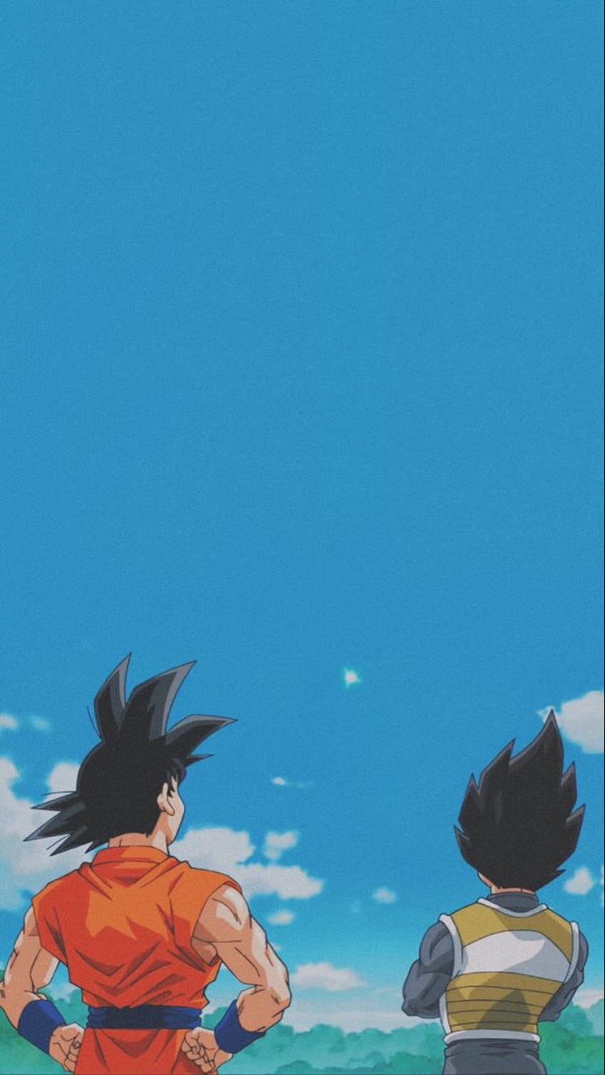 Dragon Ball Z Aesthetic, anime dbz aesthetic HD phone wallpaper