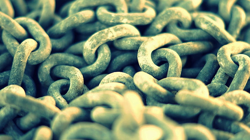 : food, metal, chains, crop, produce, close up, macro graphy, sunflower seed 1920x1080 HD wallpaper