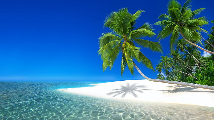 1366x768 Сейшелски курорт, океан, ваканция, плаж, остров за лаптоп, преносим компютър, плаж на Сейшелите HD тапет