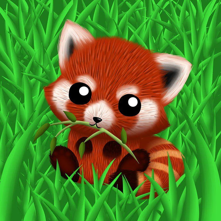 Czerwona Panda Cute Cartoon, anime czerwona panda Tapeta na telefon HD