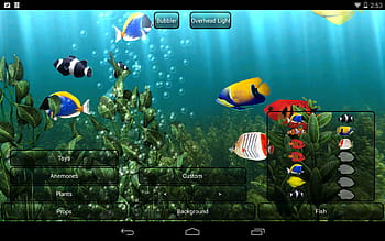 Live aquarium for android HD wallpapers | Pxfuel
