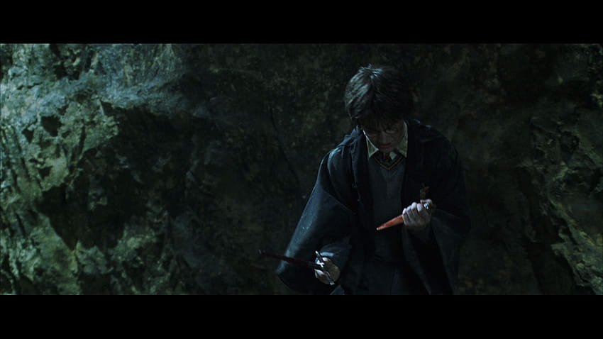 Why was the horcrux in Harry not destroyed when he was stabbed by the basilisk fang? : harrypotter HD wallpaper