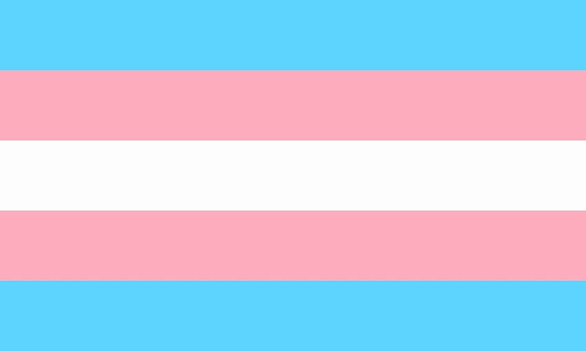 Trans Flag Best Of 10 Trans & Gender Fluid 세상을 바꾸기 위해 노력하는 청소년들 영감 HD 월페이퍼