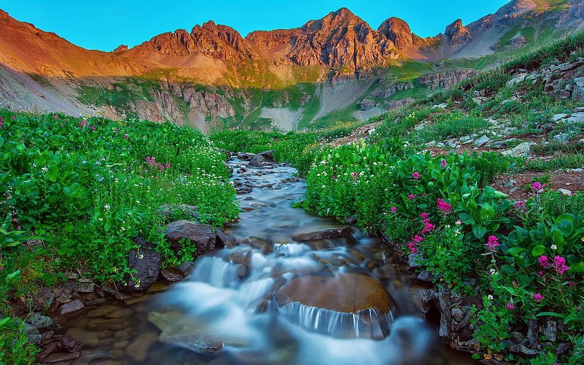 USA, Silverton, Colorado, morning, mountains, summer, stream, rocks, flowers 1920x1200 , colorado summer HD wallpaper