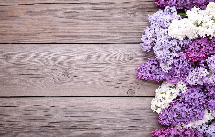 flores, fundo, madeira, flores, lilás, roxo, lilás, seção цветы, roxo lilás papel de parede HD