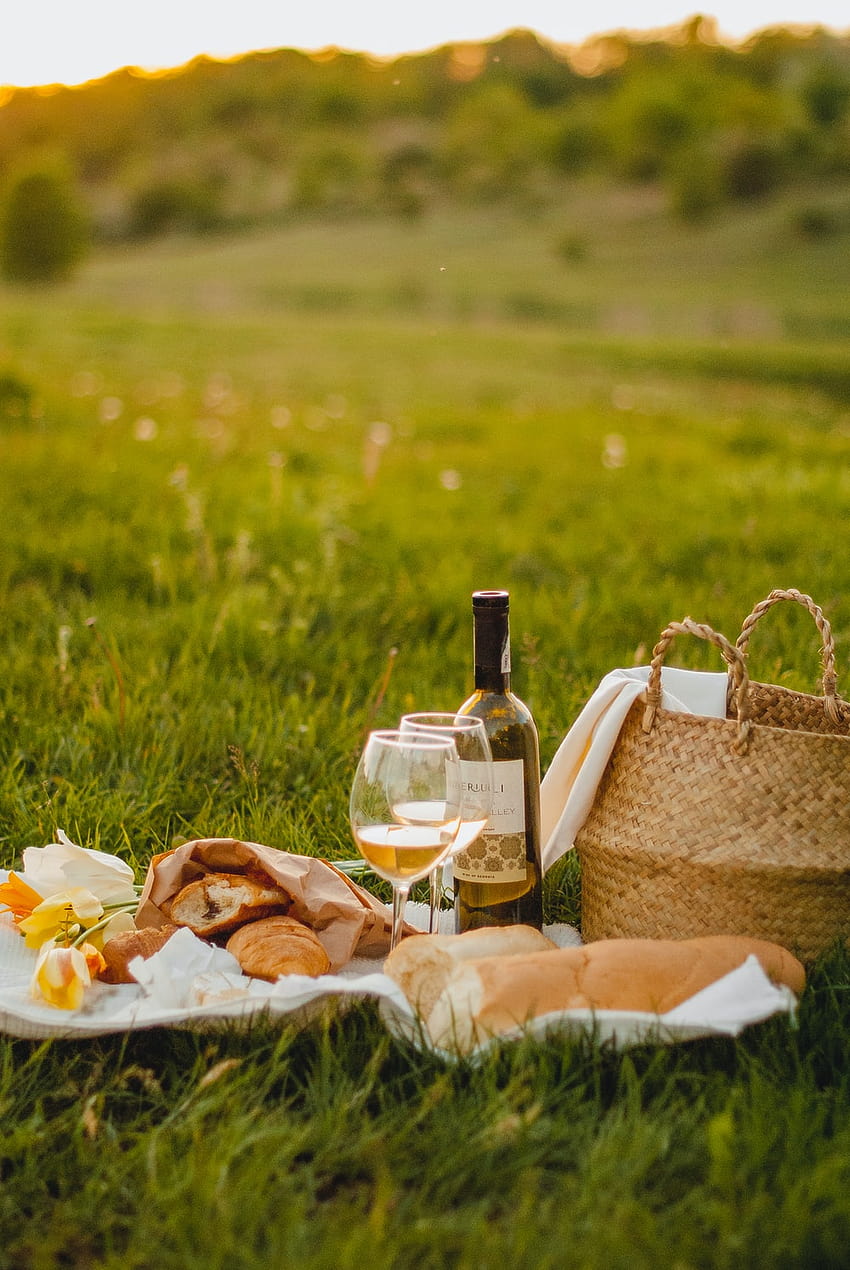 Picnic Wallpapers HD Resolution Desktop Background