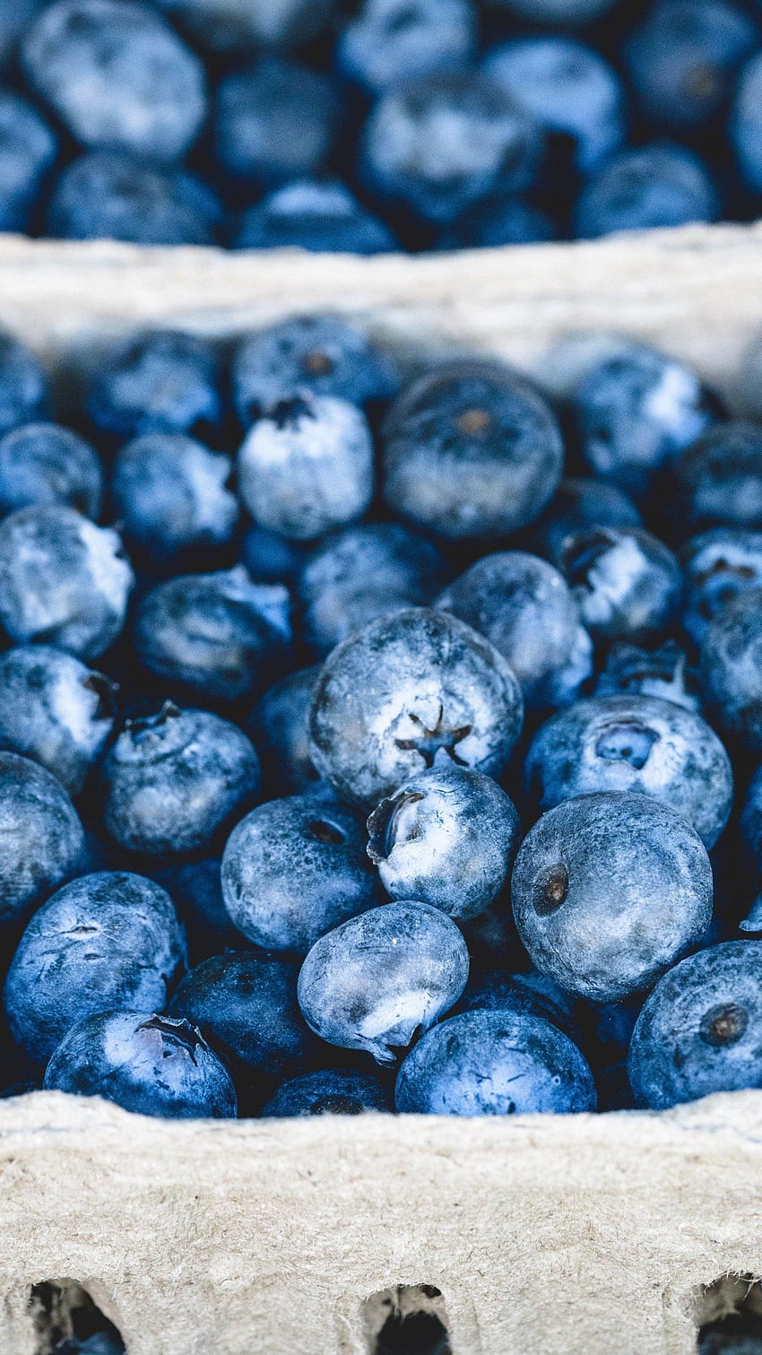 Fresh Blueberries, iphone fresh HD phone wallpaper