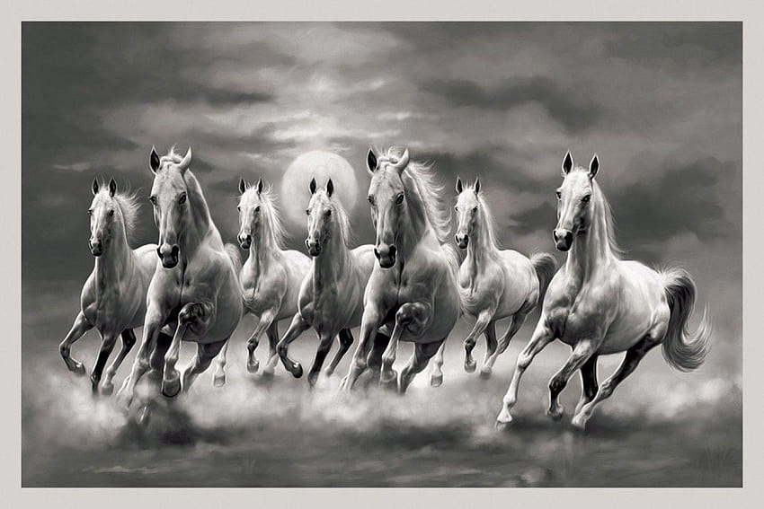 SEVEN AUSPICIOUS HORSES, seven horses HD wallpaper | Pxfuel