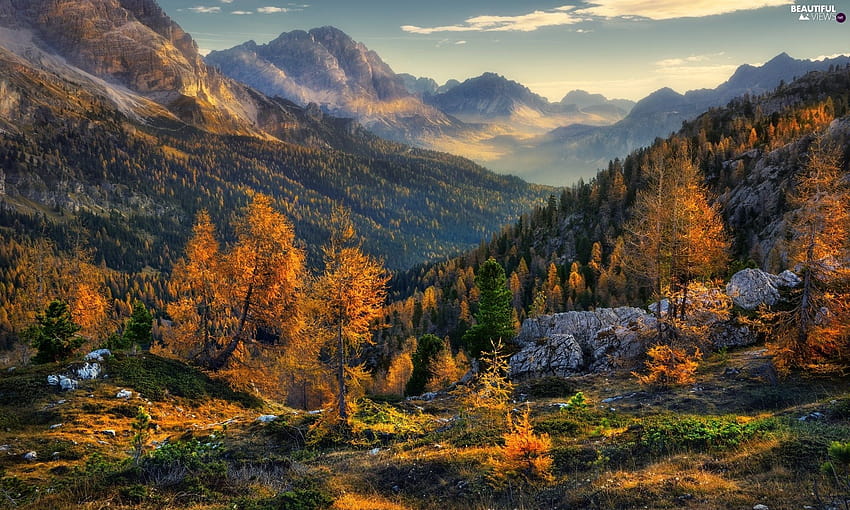 autumn, Alps, Stones, Dolomites, Italy, Mountains, Spruces, autumn dolomites italy HD wallpaper