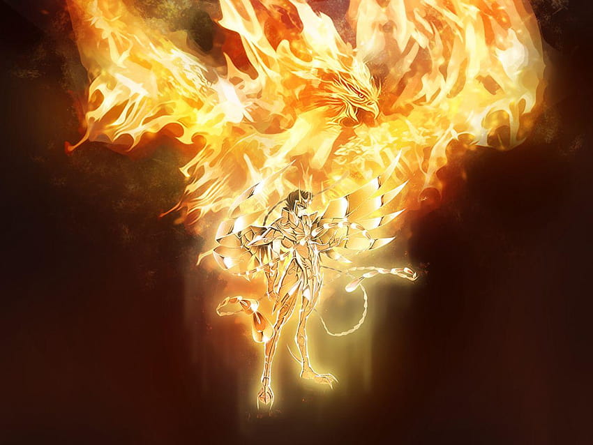 Saint Seiya, phoenix ikki HD wallpaper