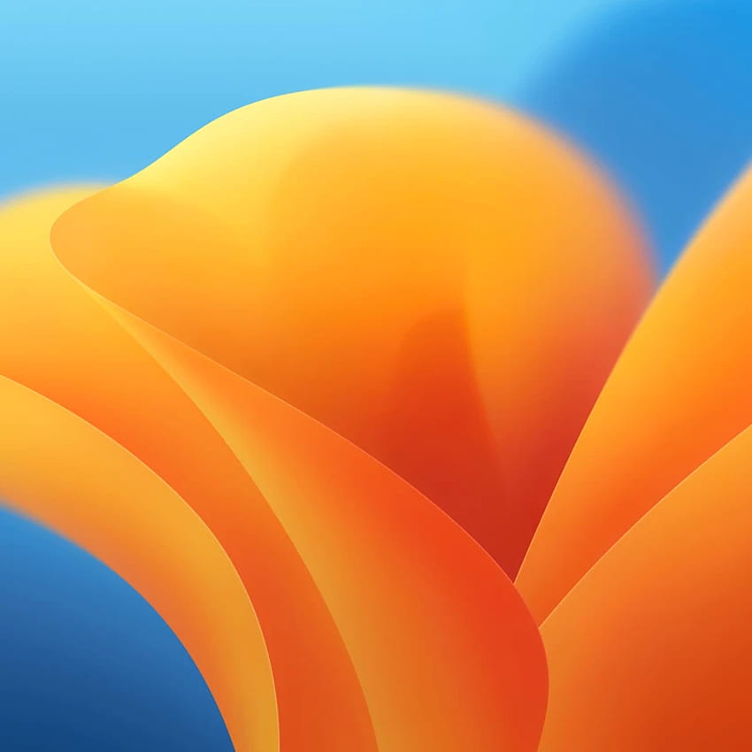 MacOS 13 Ventura HD-Handy-Hintergrundbild