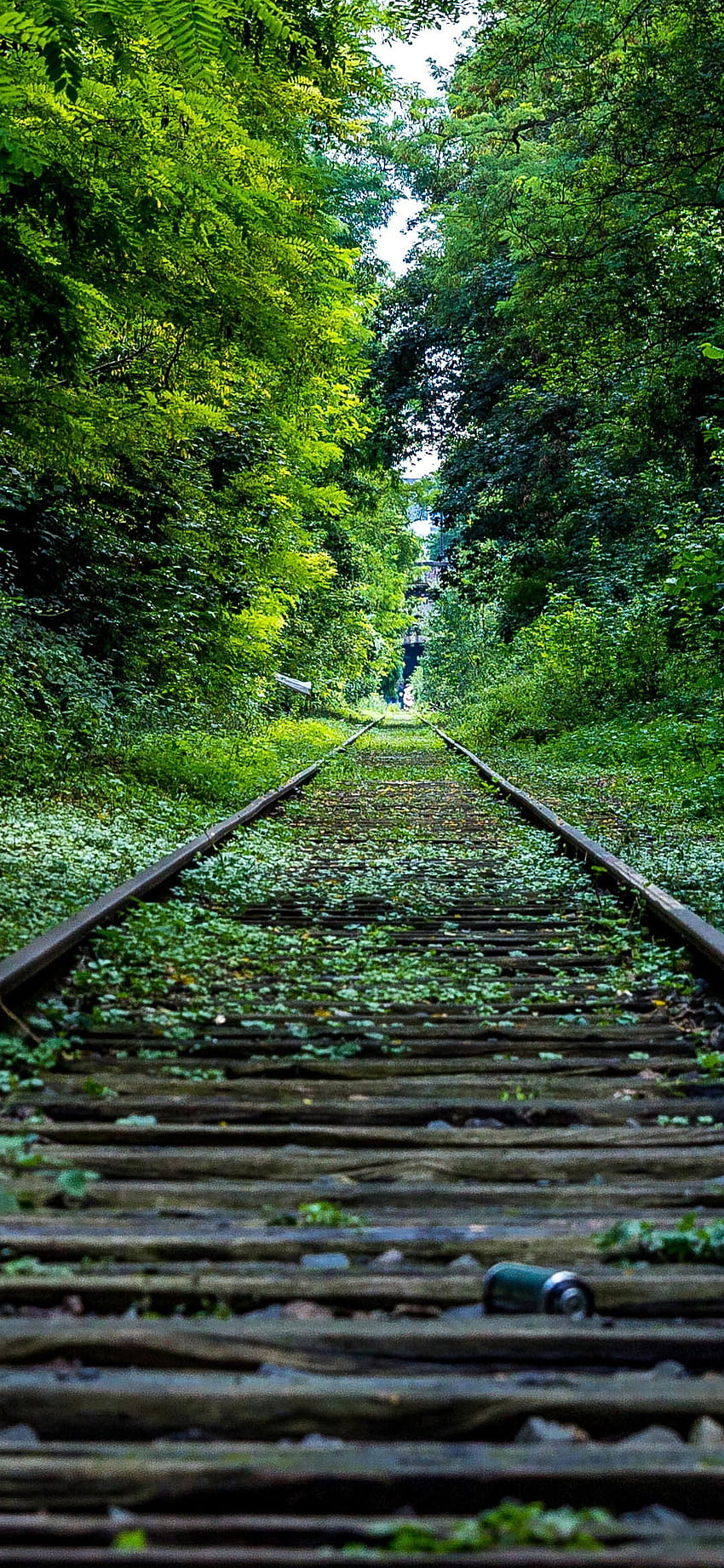 Railway Track In Forest Nature For Mobile, railway forest mobile HD phone wallpaper