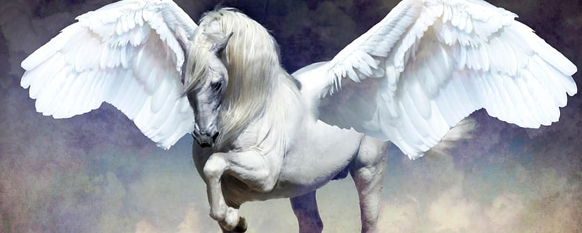 Pegasus Beautiful , Backgrounds In High HD wallpaper | Pxfuel