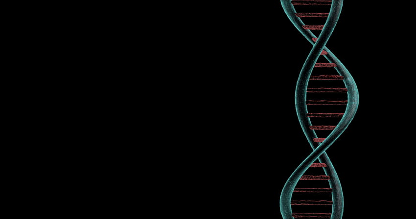 Animierte DNA-Kette. Schwarzer Hintergrund Stock Video Footage, DNA-Hintergrund HD-Hintergrundbild