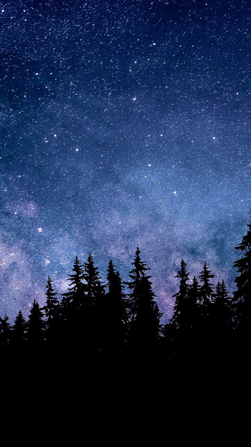 Nacht, Sternenhimmel, Wald, Silhouette, Astronomie, Kosmos, Natur, Natur bei Nacht im wirklichen Leben HD-Handy-Hintergrundbild