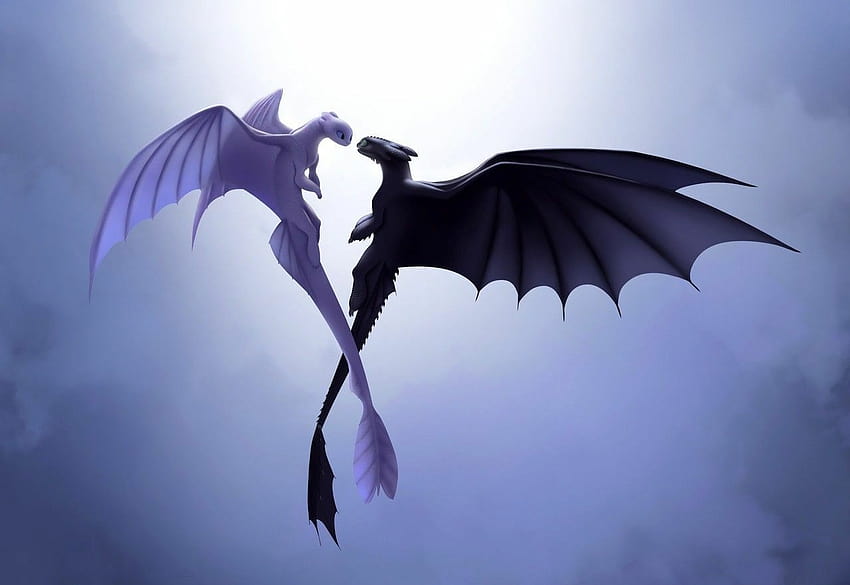 light fury, how to train your dragon, dragon and, night fury and light fury HD wallpaper