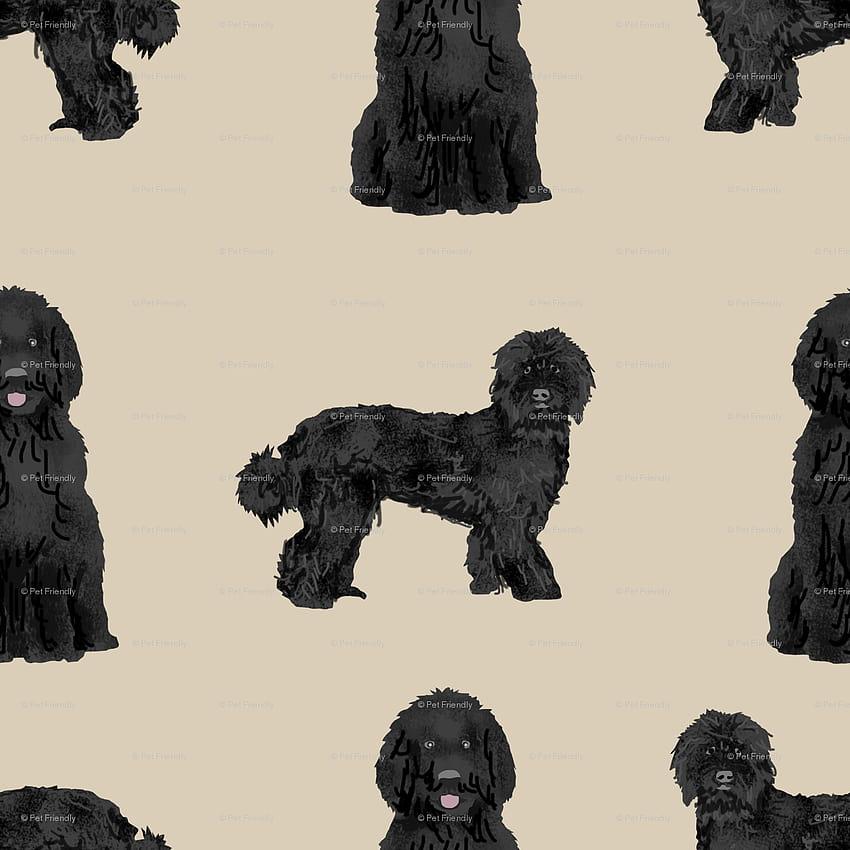 labradoodle dog fabric, labradoodles HD phone wallpaper