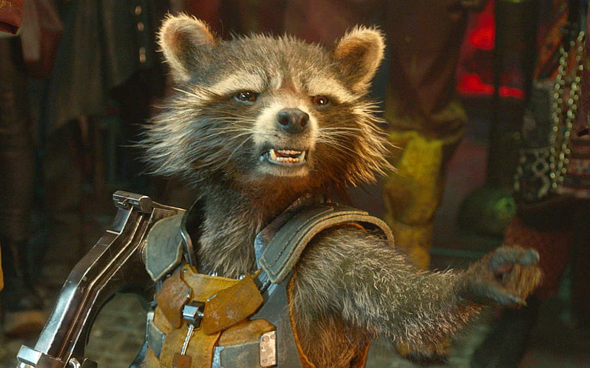 Why Guardians of the Galaxy Vol 2's Bradley Cooper doesn't play Rocket on set, guardians of the galaxy vol 2 rocket raccoon HD wallpaper