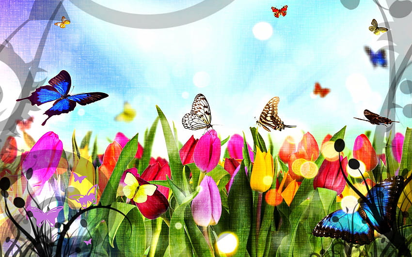 CADOU, butterfly in beautiful forest HD wallpaper