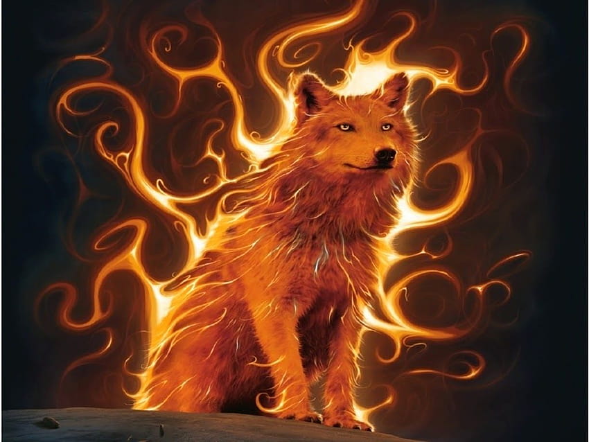 Cool Fire Wolf, red fire wolf HD wallpaper