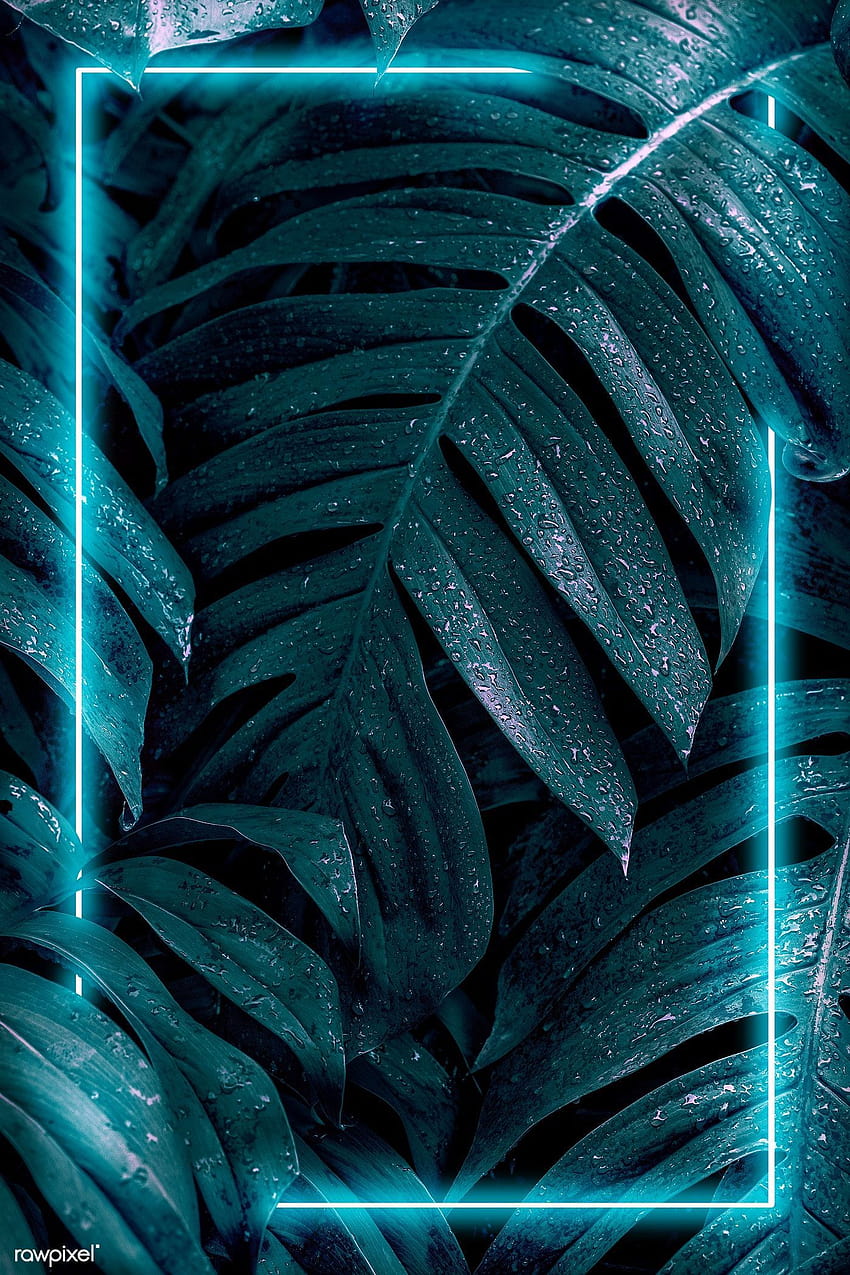 Green neon frame on wet Monstera plant leaves mockup, neon leaves HD phone wallpaper