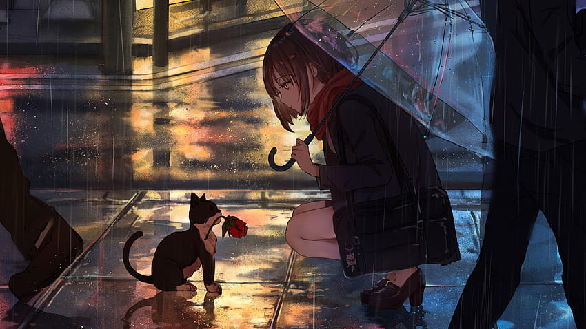 Anime Girl Raining Cat, regnet Mädchen HD-Hintergrundbild