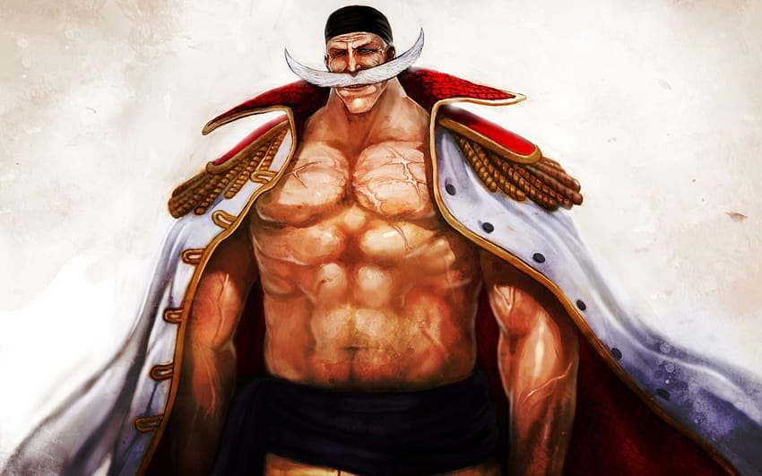 One Piece, Anime, Whitebeard / and Mobile Backgrounds, white beard one piece HD wallpaper