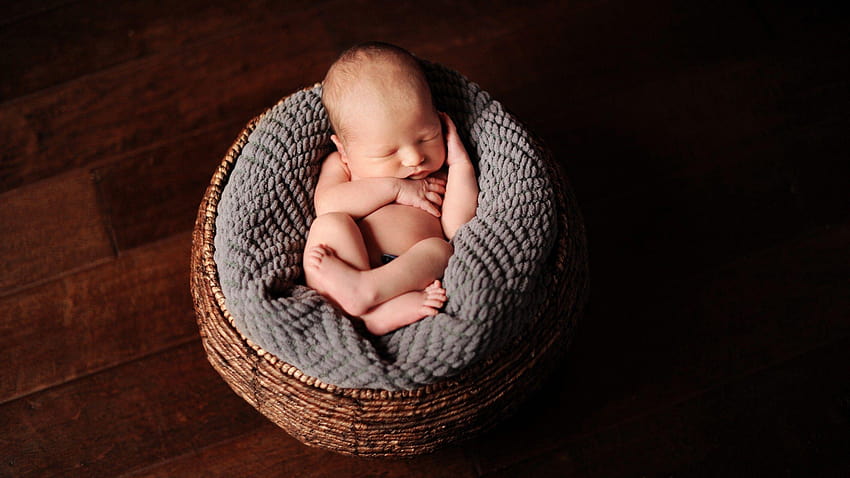 Newborn baby, Basket, , Cute HD wallpaper