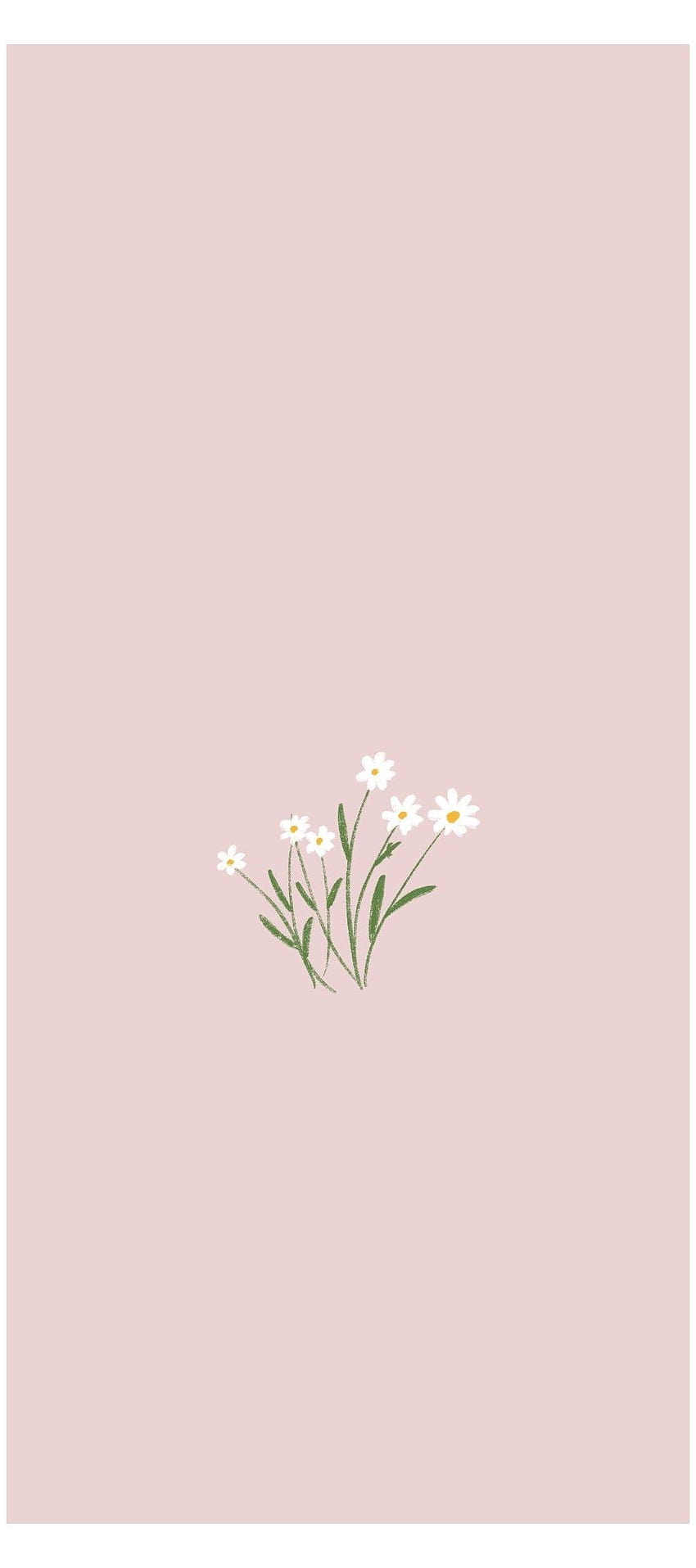 심플한 꽃, 미니멀한 봄 아이폰 HD 전화 배경 화면