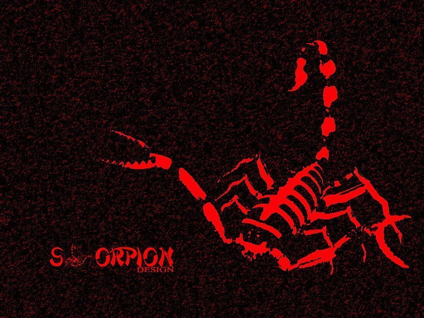 Red Scorpion posted by Sarah Peltier, black scorpion HD wallpaper